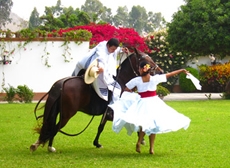SHOW DE CABALLOS DE PASO &amp; PACHACAMAC.
